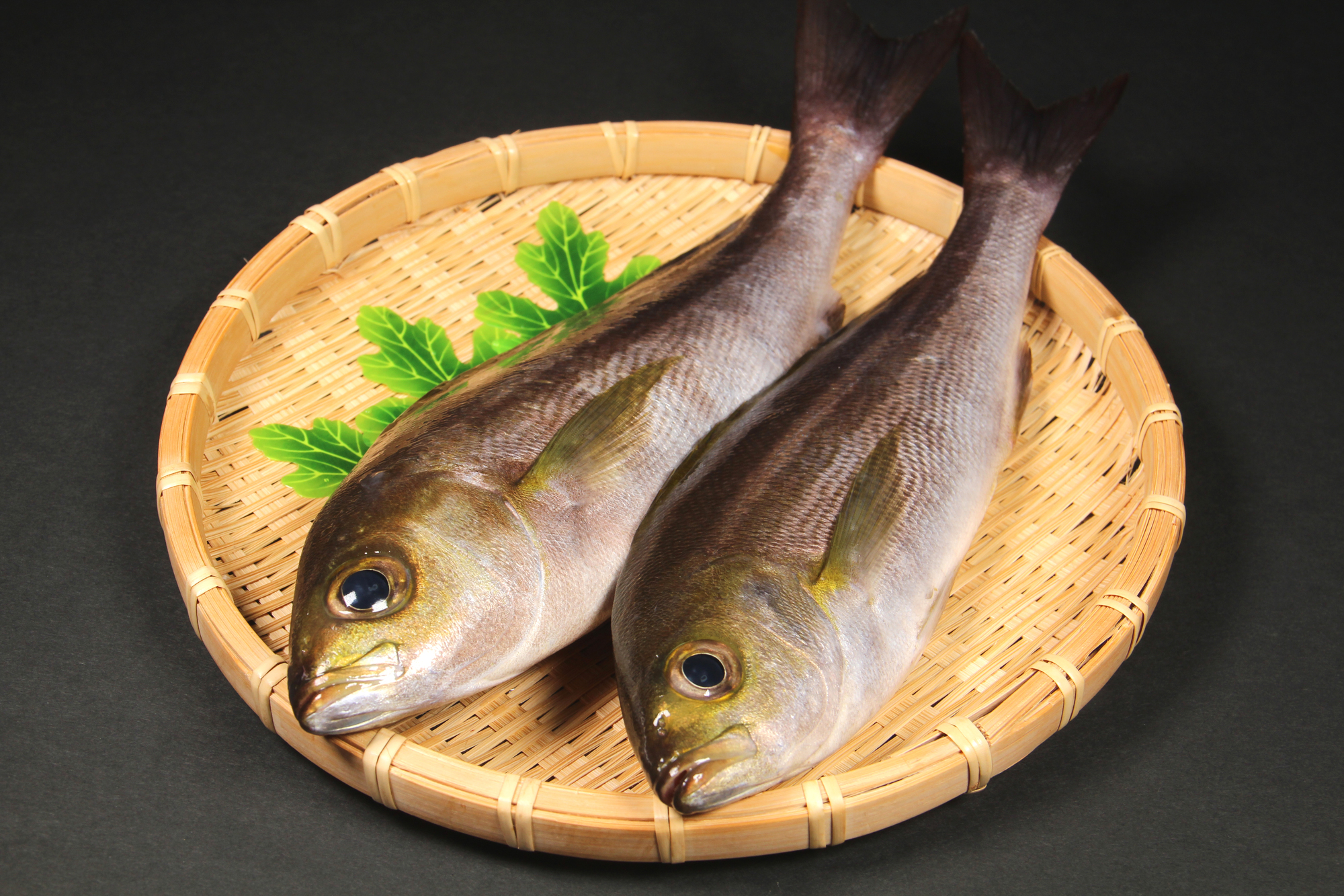伊佐木 イサキ という魚はご存知でしょうか 東京で京料理 日本料理 和食 しゃぶしゃぶ 瓢喜 ヒョウキ の個室接待へ